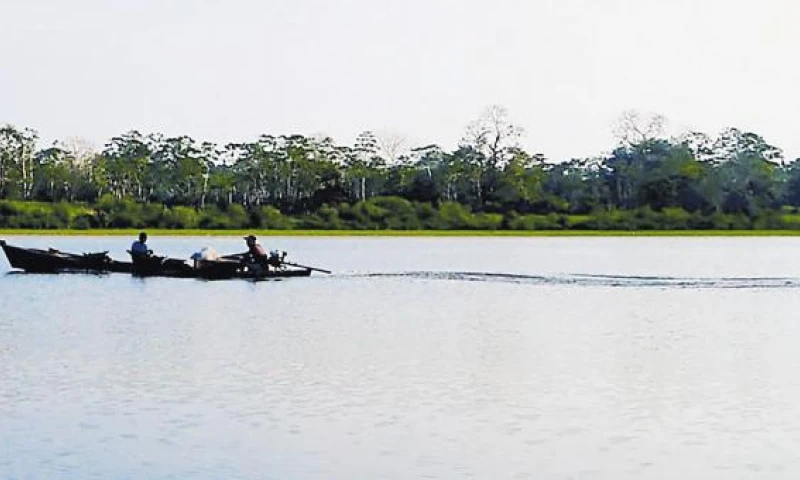 Un estudio publicado en la revista Science Advances muestra evidencias de que el océano ocupó la selva de América del Sur. Foto: El Comercio