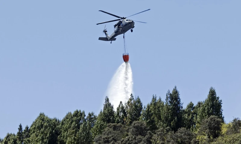 En enero han sido reportados 278 incendios, de los cuales aún siguen 20 activos / Foto: EFE