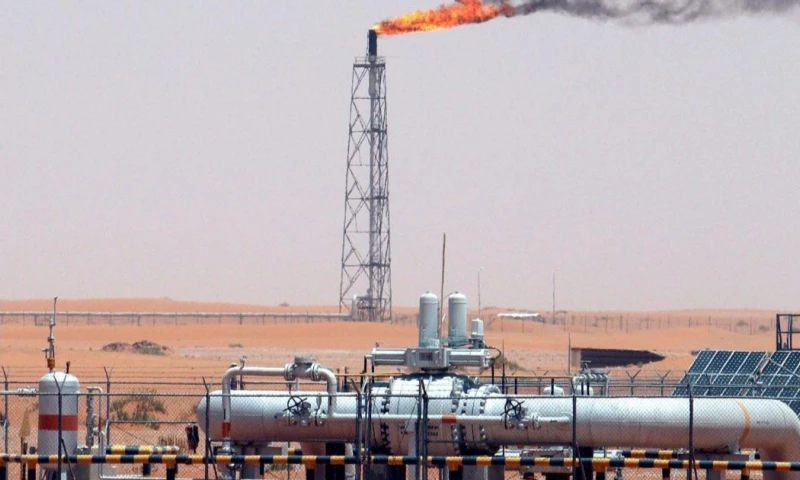 La OPEP+ incrementó desde abril en 2,6 mbd su producción, alrededor del 2,5 % de la demanda mundial / Foto: EFE