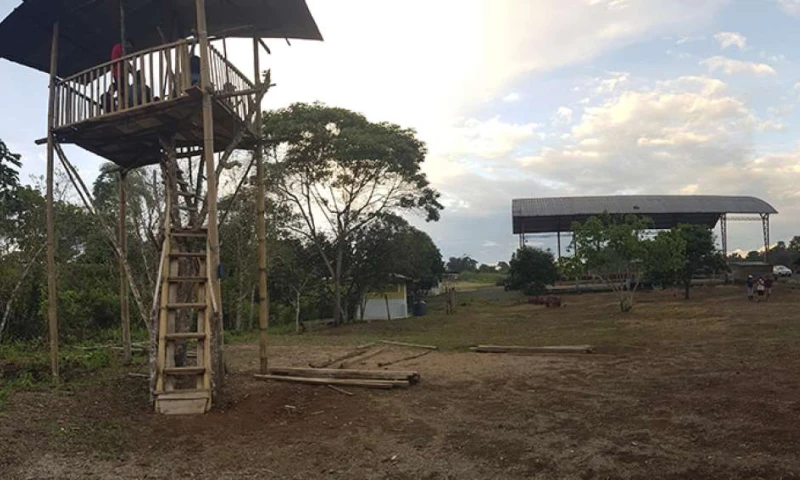 En la parroquia Sevilla Don Bosco, los estudiantes se turnaban hasta ahora para subir a esta casa en el árbol, ya que es el único lugar con señal de internet en esa zona selvática. Foto: Cortesía Municipio de Morona
