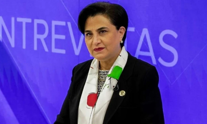 En su intervención, la canciller vinculó la ofensiva de seguridad con la política económica del Gobierno / Foto: cortesía 