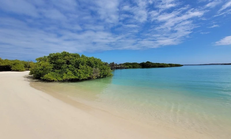 Según la selección de los viajeros de Tripadvisor, cinco de las 10 mejores están en Brasil, y en Ecuador, también está una de las mejores playas de América Latina / Foto: cortesía Trip Advisor