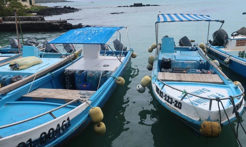 Gobierno invertirá 300 millones de dólares para electrificar sector camaronero / Foto: EFE