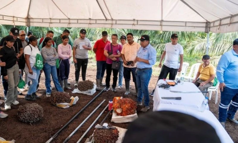 El programa incluyó charlas especializadas, capacitaciones prácticas y recorridos técnicos por las áreas productivas / Foto: cortesía Grupo Danec