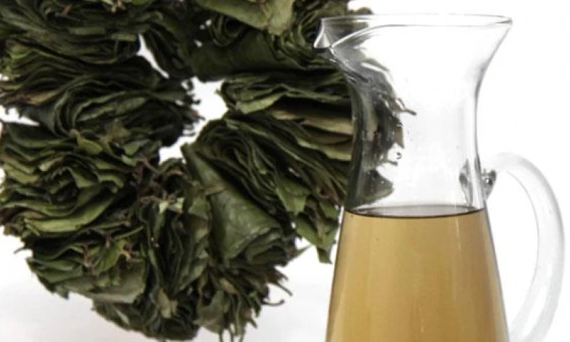 Investigadores de la Pontificia Universidad Javeriana de Bogotá analizaron los usos de la planta en la Amazonía de tres países. Foto: El Comercio