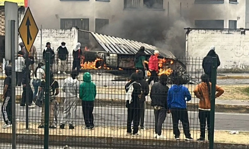 Los manifestantes cruzaron troncos y ramas de árboles en una vía del norte de la provincia de Pichincha / Foto: cortesía Policía Nacional