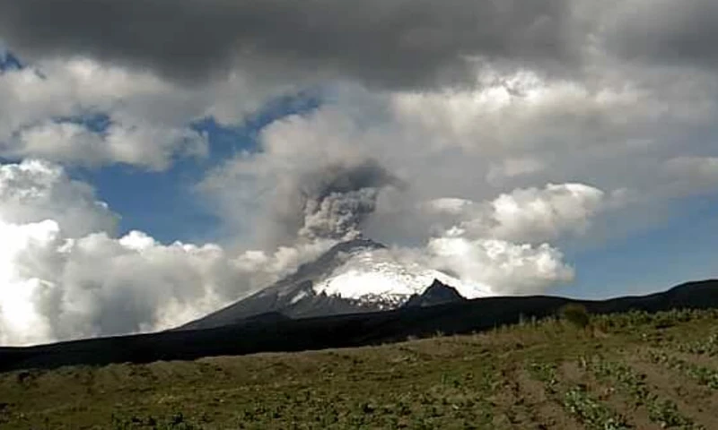 Noticias del Ecuador Medios Nacionales - 4 de Febrero de 2023 / Foto: Twitter