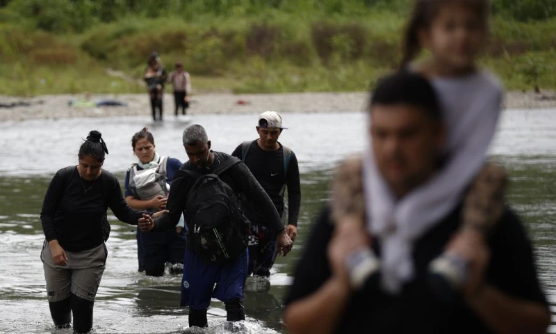 El descenso se intensificó a partir de 2025, con una reducción interanual estimada del 87 % / Foto: cortesía EFE