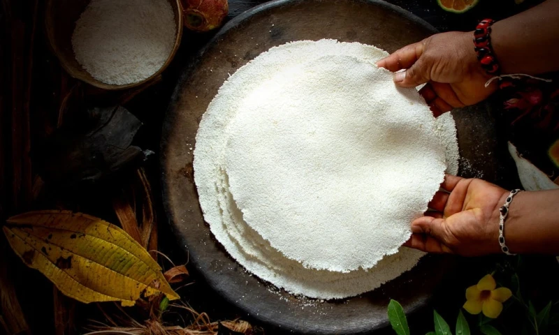 La preparación es con yuca cruda rallada y jugo de ucuisi / Foto: cortesía