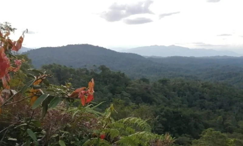 El Refugio El Zarza recibirá $ 33 mil anuales/ Foto: cortesía Ministerio de Ambiente