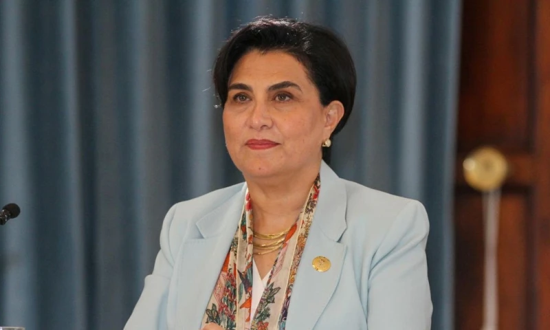 Sommerfeld aseguró que mantiene "un diálogo permanente" con la delegación estadounidense / Foto: EFE