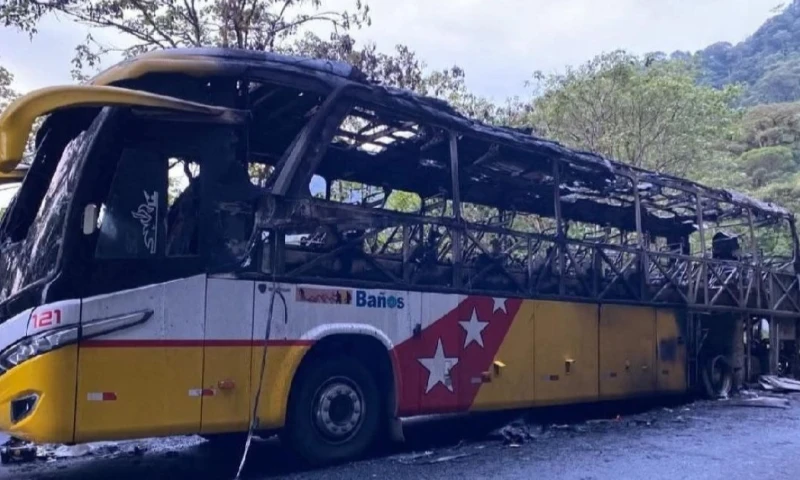 El siniestro se registró en la vía Baeza–Cosanga / Foto: cortesía El Diario