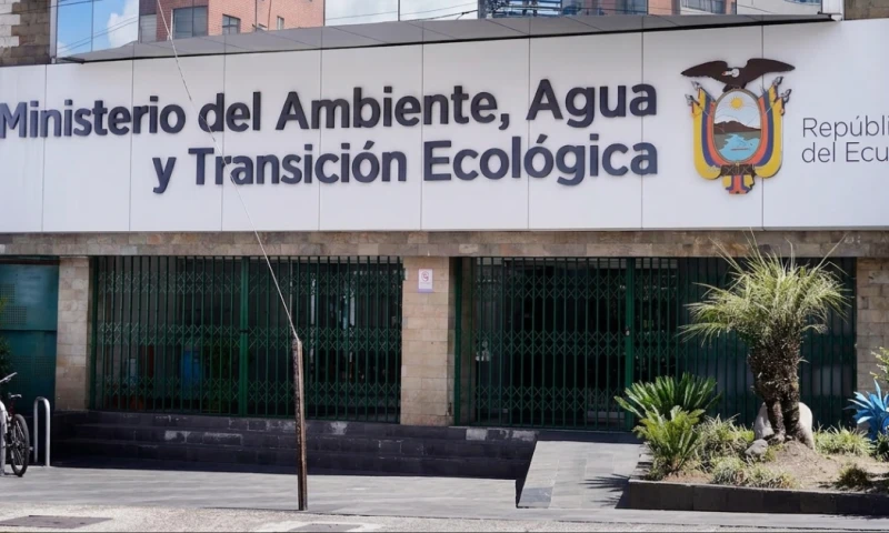 El sistema eléctrico ecuatoriano necesita a alguien con experiencia probada en generación, distribución y regulación / Foto: cortesía