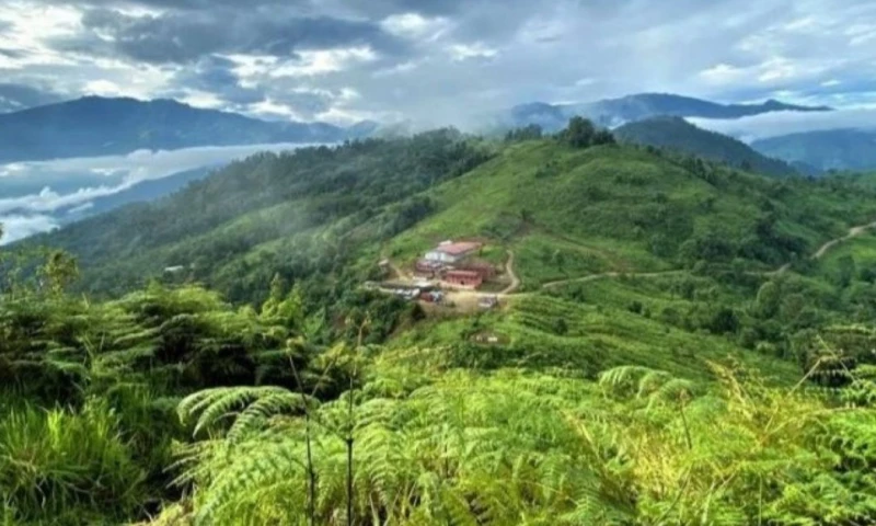 Lumina es la dueña del proyecto Cangrejos en El Oro / Foto: cortesía Lumina Gold