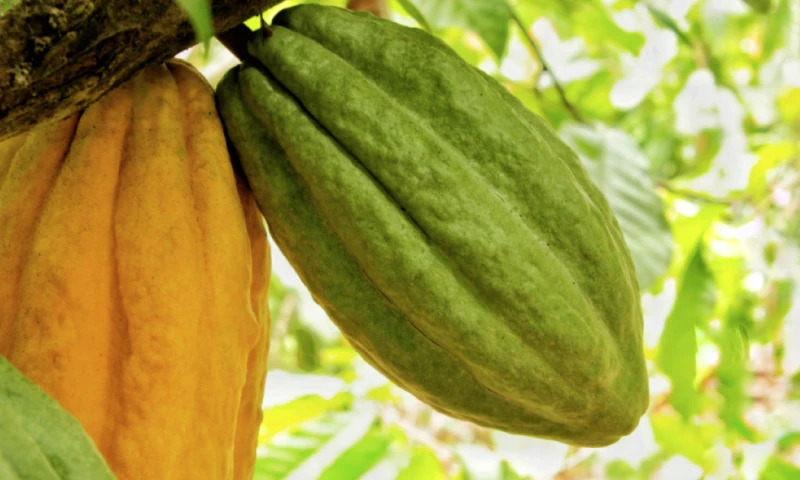 Principales noticias de Ecuador hoy - 21 de abril de 2026 / Foto: cortesía MAGP