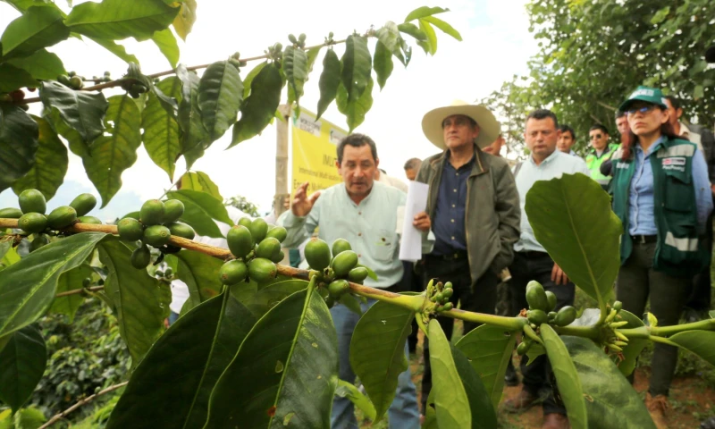 Foto: Agencia Peruana de Noticias