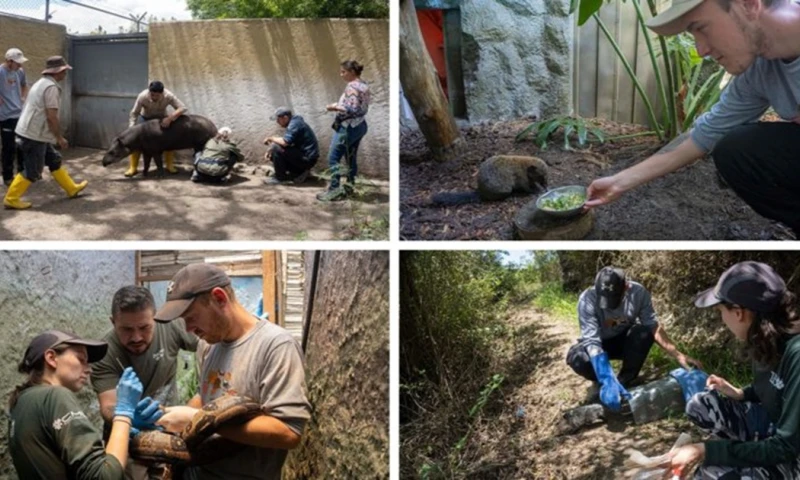 Tania Rojas, zoocuidadora, viajó a la ciudad de Karlsruhe / Foto: cortesía QuitoZoo
