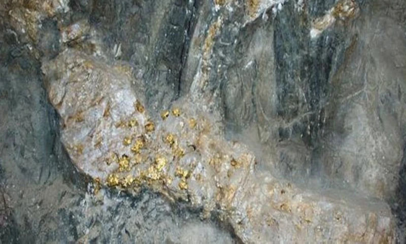 Entre los hallazgos más destacados figuran una muestra con 80,9 g/t de oro y 824 g/t de plata / Foto: cortesía 