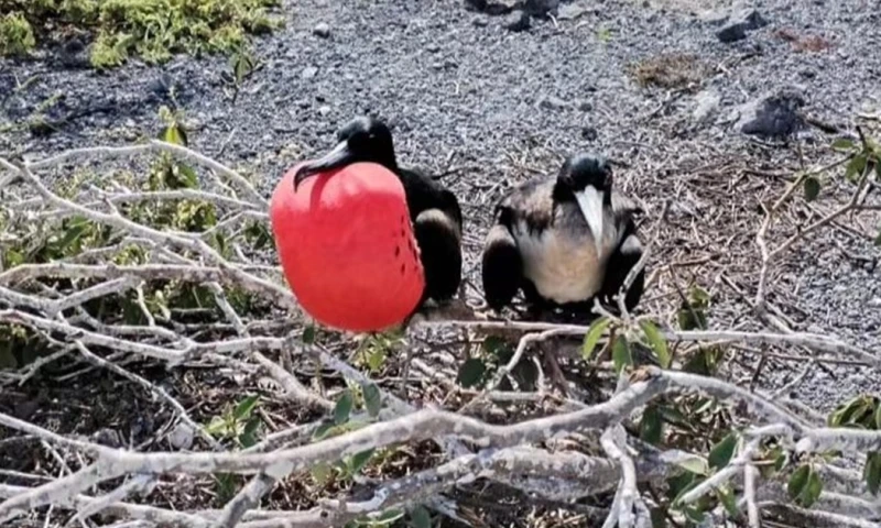 Principales noticias de Ecuador hoy - 25 de abril de 2024 / Foto: cortesía PNG
