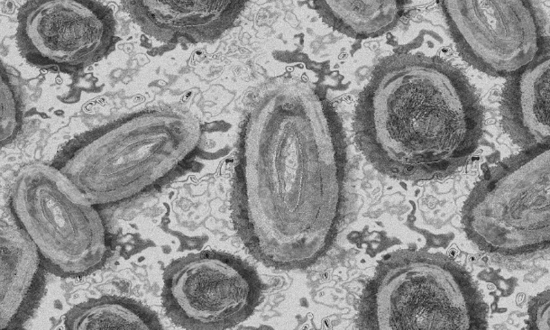 Resumen Medios Nacionales - 6 de Julio de 2022 / Foto: Cortesía