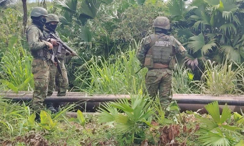 6 grupos terroristas están involucrados en este delito./ Foto: cortesía Ejército