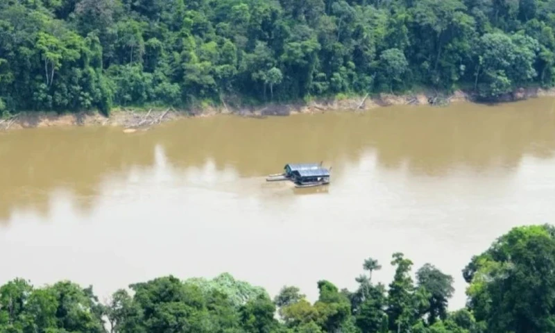 Las zonas afectadas incluyen comunidades nativas, concesiones bloqueadas y áreas de amortiguamiento de reservas naturales / Foto: cortesía El Búho