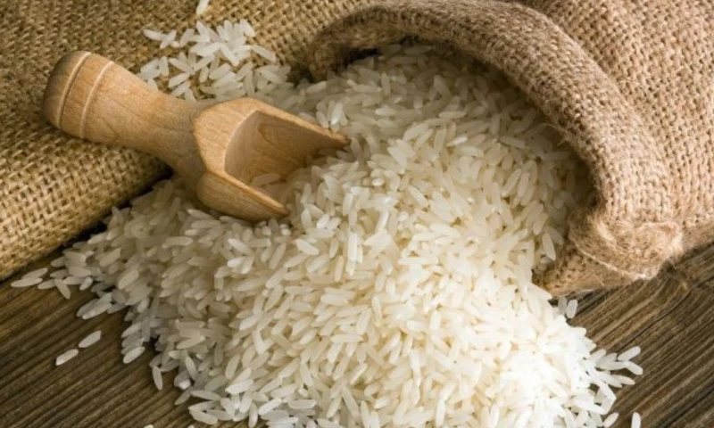 Las cifras señalan que alrededor de 25.000 hectáreas han sufrido daños totales o parciales en distintos cultivos / Foto: cortesía