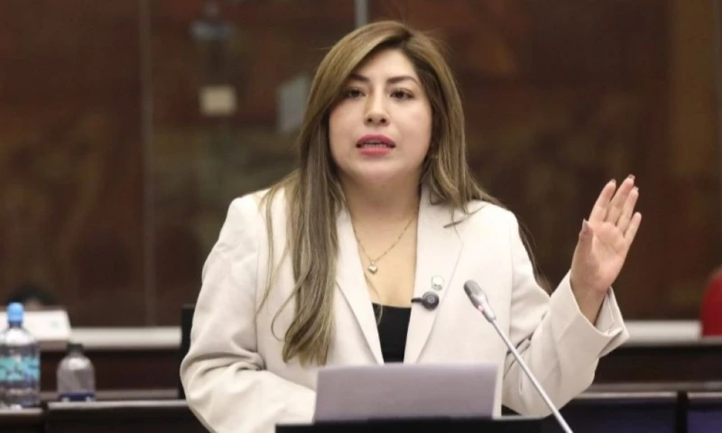 La ley fue impulsada por la presidenta de la Comisión de Seguridad Integral, Inés Alarcón / Foto: cortesía Asamblea Nacional