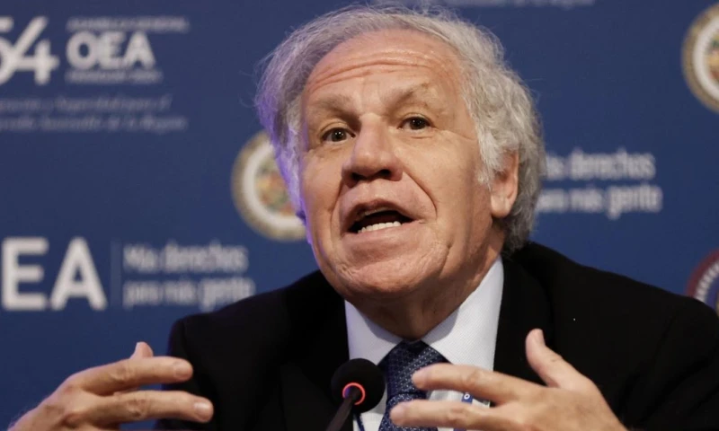 En su elaboración también participó el Ministerio de Relaciones Exteriores de Ecuador y la Junta Interamericana de Defensa / Foto: EFE