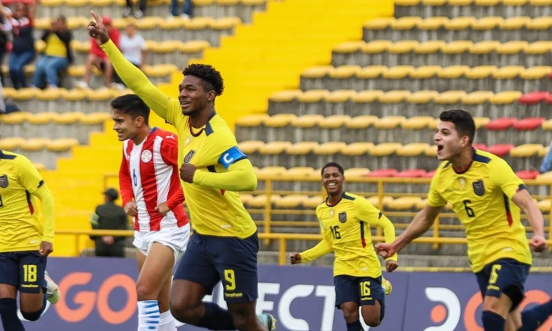 Aficionados ecuatorianos y agencias reportan gran demanda de tours, vuelos y paquetes para acompañar a la selección en Estados Unidos, Canadá y México./ Foto: cortesía 
