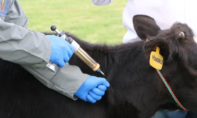 1.200 brigadistas empezaron a recorrer todo el país desde ayer / Foto: cortesía Agrocalidad