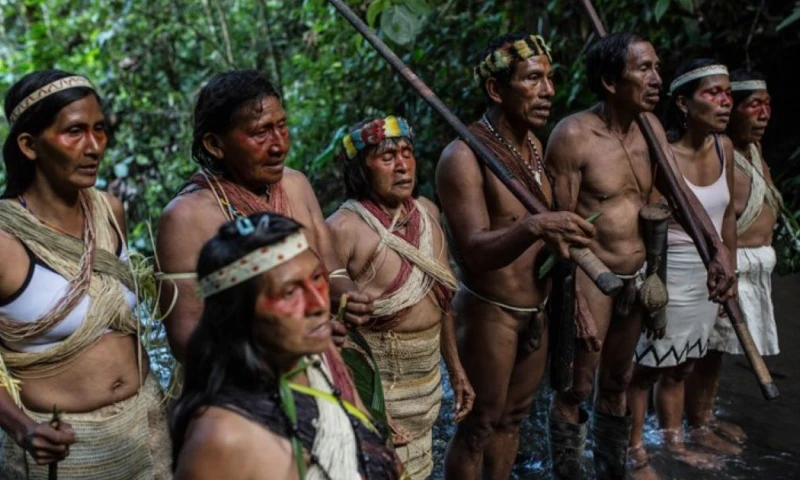 Además ordenó al Estado promover las investigaciones para determinar las circunstancias de los hechos violentos / Foto: cortesía Plan V