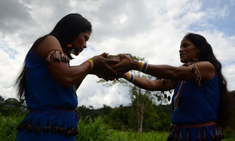 La Fiesta de la Chonta - Foto: El Tiempo