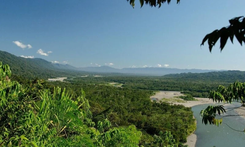 Este ecosistema desempeña un papel fundamental en la regulación climática y el ciclo del agua en el continente / Foto: cortesía Wakana Lodge