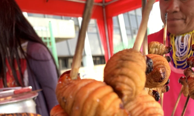 Chontacuro, el gusano de la Amazonía ecuatoriana / Foto: El Oriente