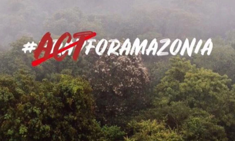 El presidente de Ecuador, Lenín Moreno, dijo que ofreció ayuda a Brasil para mitigar los incendios en la Amazonía. Foto: El Comercio