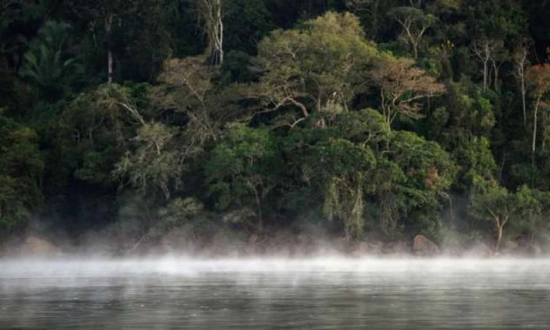 ALERTA. Según el informe, existe una conexión directa entre la expansión de las vías y la eliminación de la vegetación nativa. Foto: La Hora