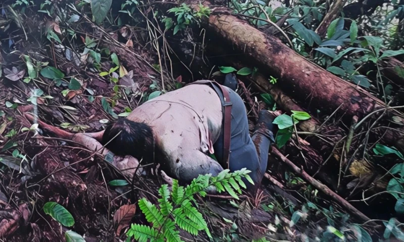 El hallazgo se produjo durante una operación militar que se realizaba en el sector de Alto Punino / Foto: cortesía Ejército 