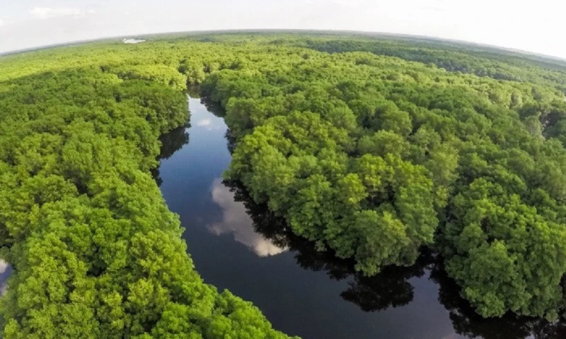 El Gobierno prepara un marco legal para realizar este tipo de transacciones con más facilidad/ Foto: cortesía Ministerio de Ambiente