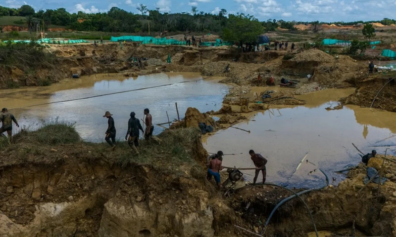 Los mineros operan bajo el control del Clan del Golfo, considerado el mayor grupo criminal del país, y a cullos cabecillas el Gobierno de Gustavo Petro había designado como gestores de paz. / Foto: Cortesía New York Times