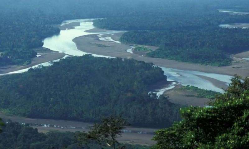 Esta medida también afecta a áreas naturales protegidas de uso indirecto y al territorio de 21 pueblos indígenas / Foto: EFE