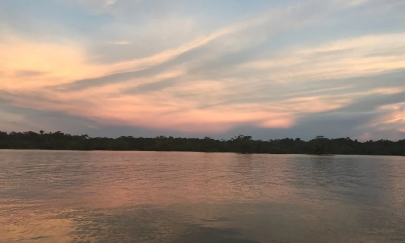 En 1980, la Cámara Nacional de Representantes oficializó el nombre de ‘Región Amazónica’ en lugar de ‘Oriente’ / Foto: El Oriente