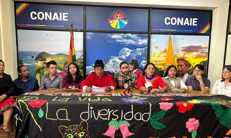 El presidente de la Conaie anticipó que recurrirán a la Corte Constitucional y la CIDH ante cualquier intento de aplazar el cierre del Bloque 43-ITT/ Foto: cortesía Conanie