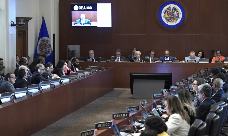 El vicecanciller ecuatoriano, Alejandro Dávalos, expresó su rechazo a la resolución / Foto: EFE