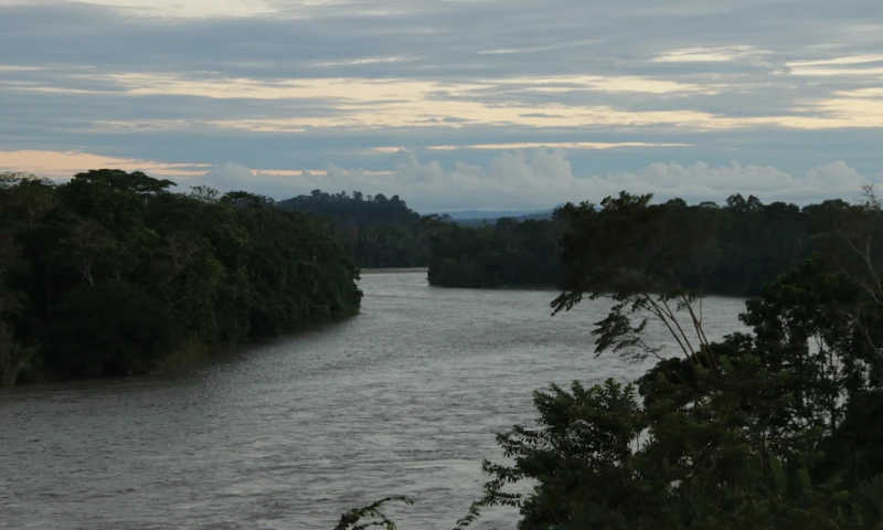 Indígenas recogen "El grito de la selva" para defender la vida de la Amazonía / Foto: El Oriente