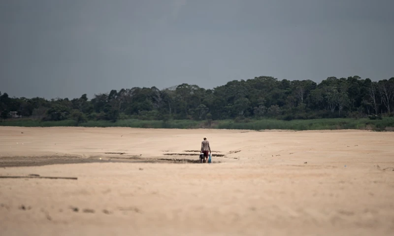 Esta sequía aumenta el riesgo de incendios forestales en la Amazonía brasileña / Foto: EFE
