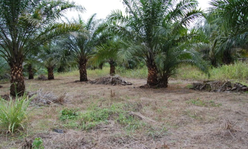 Foto: Radio Sucumbíos