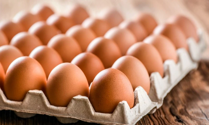 ¿Por qué ha aumentado el precio de los huevos en Ecuador? / Foto: Shutterstock