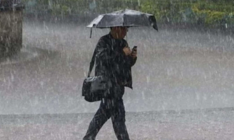 La medida busca reforzar la vigilancia y preparación en 23 provincias del territorio continental / Foto: cortesía El Telégrafo