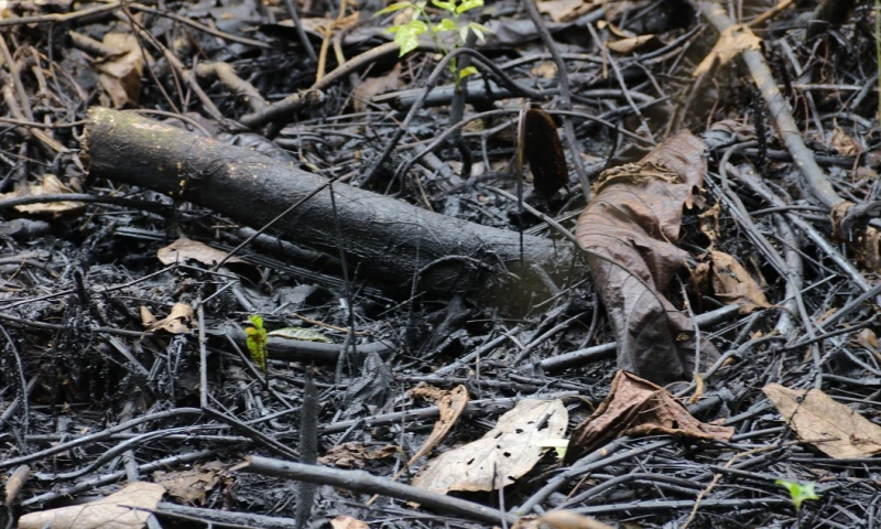 Petroecuador sumó un nuevo derrame a su récord / Foto: Archivo